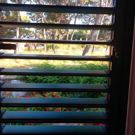 Apartmán Radic